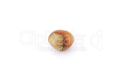 hazelnuts isolated on white