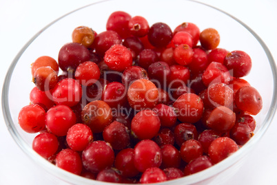 cranberries in a glass cup isolated on white