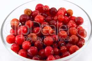 cranberries in a glass cup isolated on white