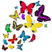 Colored butterflies background