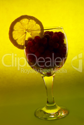 cocktail with lemon slice