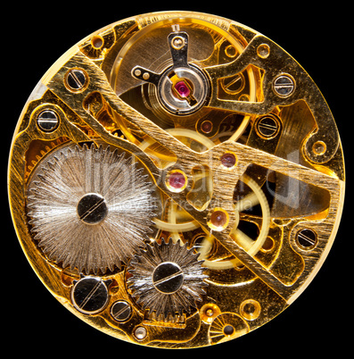 Interior of antique hand wown watch