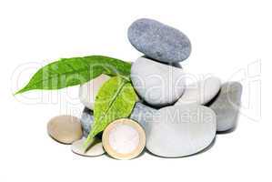 A heap of stones, leaves and coins