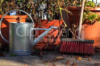 garden still life