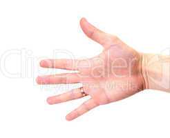 hand signal isolated on white background