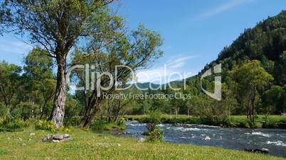 mountain stream