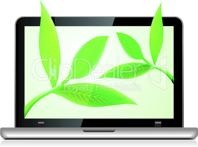 Laptop with leaves on white background