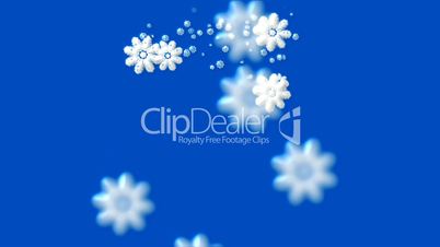 falling snowflake shaped flower pattern,chrismas,xmas,lace,wedding background.fresh,clean,crystallization,kaleidoscope,perfect,particle,Design,pattern,symbol,dream,vision,idea,creativity,vj,beautiful,art,decorative,mind,Game,Led,neon lights,modern,stylish