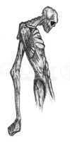 evil hand drawn skeleton character