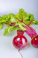 .Botwinka (for soup from young red beet plants, Polisch)