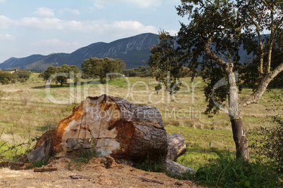 Landscape of National Park Arrabida.