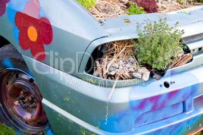 Wrecked Car with Plants