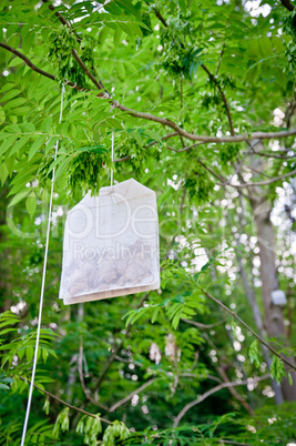 Tea Bag on a Tree