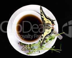 Butterfly and cup.