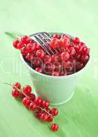 Johannisbeeren / red currants