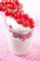 Joghurt mit Johannisbeeren / yogurt with redcurrants