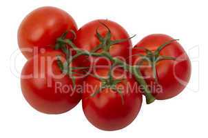 ripe tomatoes