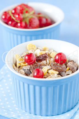 Müsli und Früchte / muesli and fruits