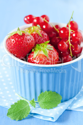 Erdbeeren und Johannisbeeren / strawberries and redcurrant