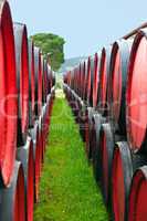 wine barrels in a winery, France