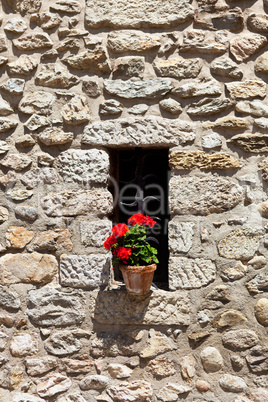 Window in an old wall with flower