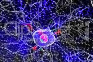 3d Nerve cells