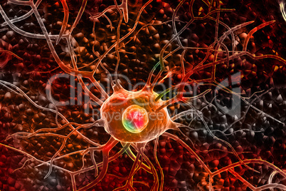 3d Nerve cells