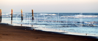 Beach Fence