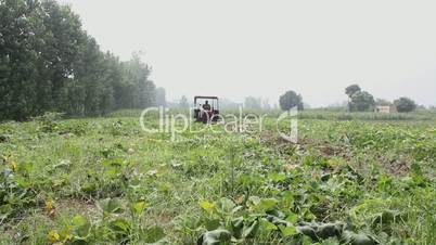 Tractor plowing the fields