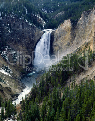 Lower Falls, Yellowstone National Park