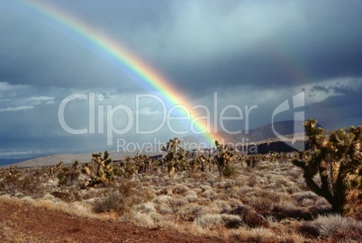 Rainbow in desert, Nevada