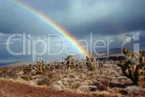 Rainbow in desert, Nevada