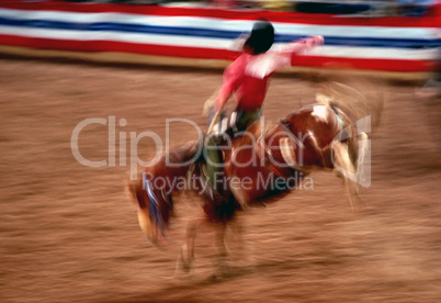 Rodeo