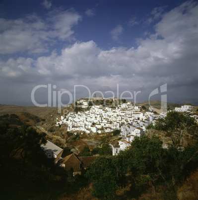 Casares