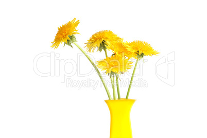 Dandelions In Vase