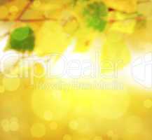 autumn abstract background