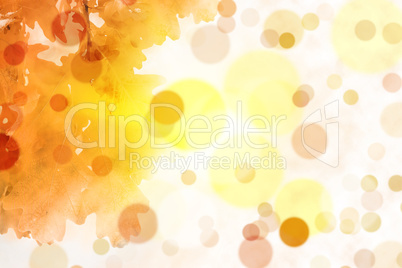 autumn abstract background