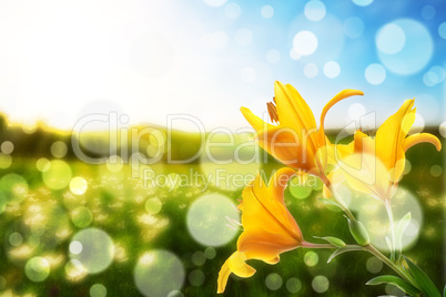 background with flower