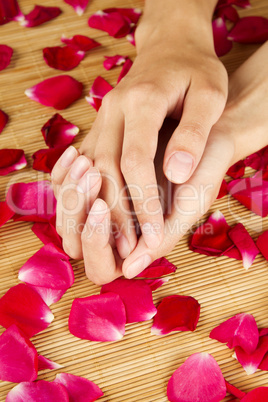 Hands on rose petals