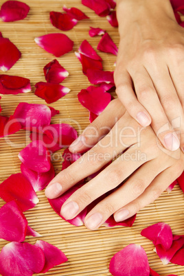 Hands on rose petals