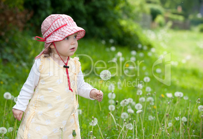 Girl with blowball