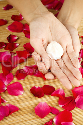 Hands on rose petals