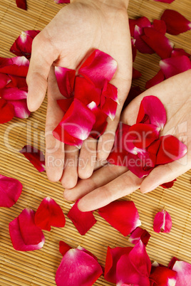 Hands on rose petals