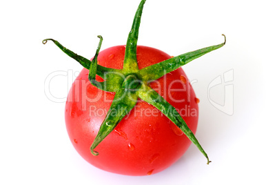 cherry tomate,freisteller