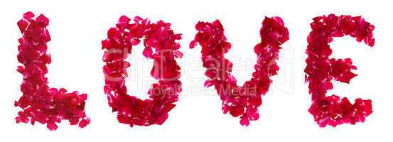 Pink rose petals forming letter  love on white