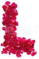 Pink rose petals forming letter L