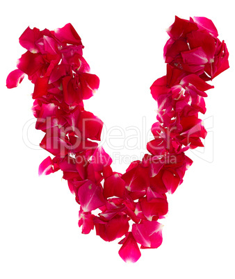 Pink rose petals forming letter V