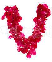 Pink rose petals forming letter V