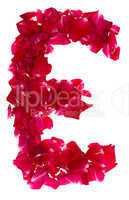 Pink rose petals forming letter E