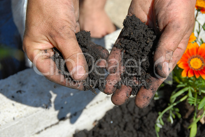 Black soil